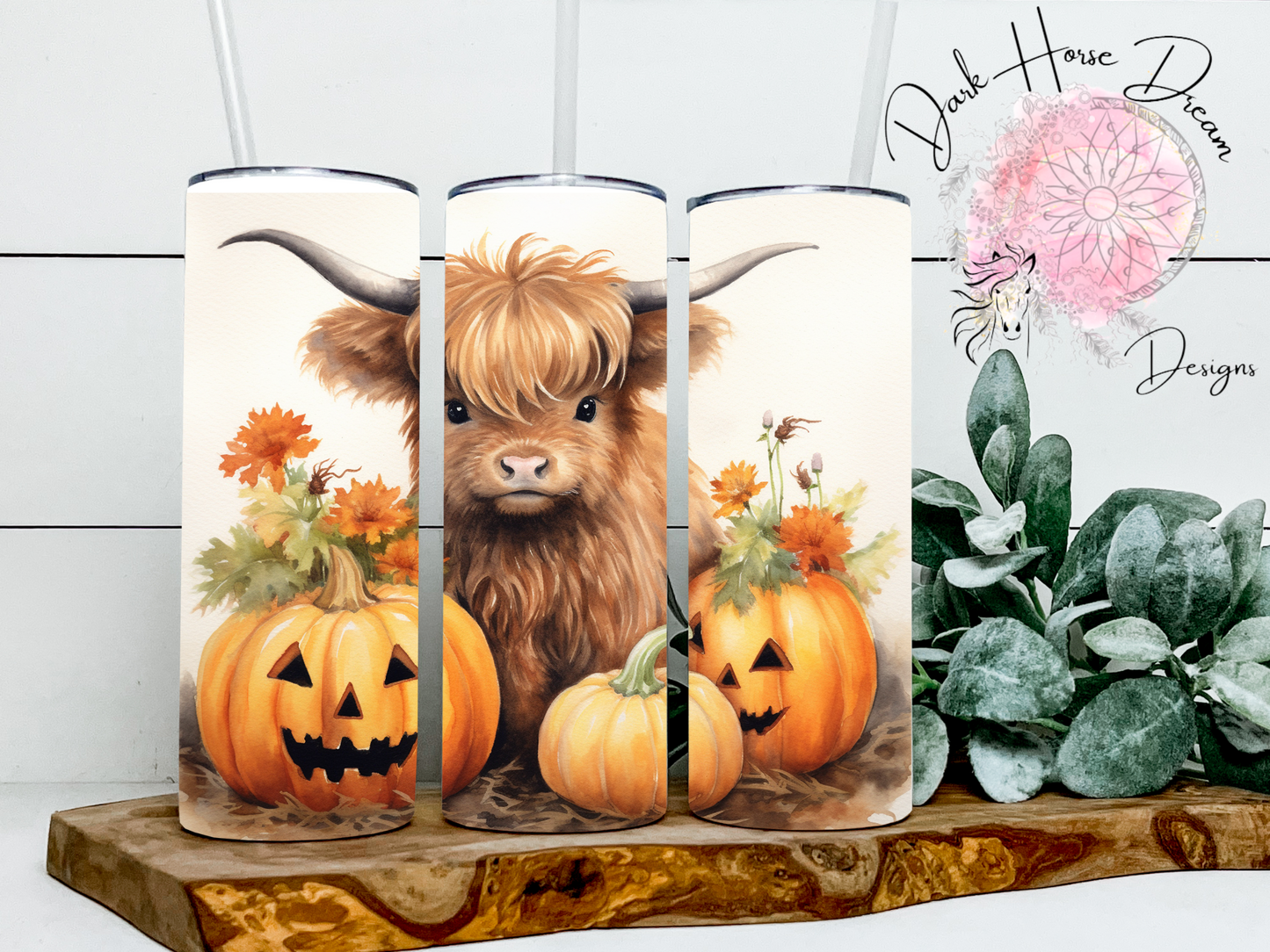 Baby Cow Pumpkin Patch